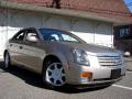 2003 CTS Sedan #2