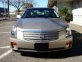 2003 CTS Sedan #9