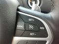 Controls of 2017 Dodge Durango GT AWD #18