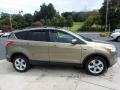 2013 Escape SE 1.6L EcoBoost 4WD #6