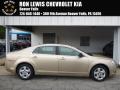 2008 Malibu LS Sedan #1 2008 Malibu LS Sedan #1