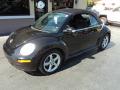 2009 New Beetle 2.5 Convertible #2