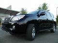 2011 GX 460 Premium #6