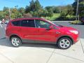2013 Escape SE 1.6L EcoBoost 4WD #7