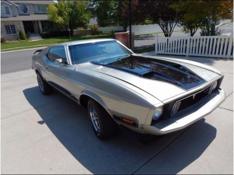 Light Pewter Metallic Ford Mustang Mach 1 Fastback.  Click to enlarge.