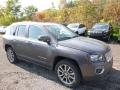Front 3/4 View of 2017 Jeep Compass High Altitude 4x4 #11