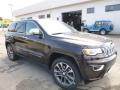 Front 3/4 View of 2017 Jeep Grand Cherokee Overland 4x4 #11