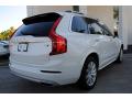 2016 XC90 T6 AWD #10
