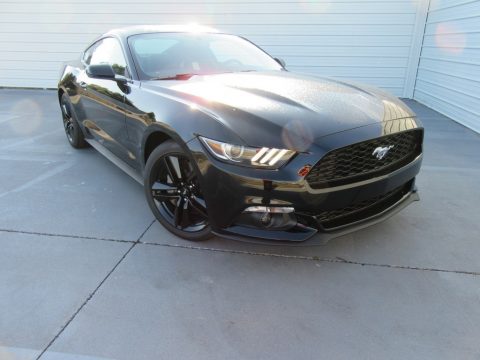 Shadow Black Ford Mustang Ecoboost Coupe.  Click to enlarge.