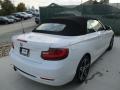 2017 2 Series 230i xDrive Convertible #10