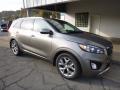 2017 Sorento SX V6 AWD #8 2017 Sorento SX V6 AWD #8