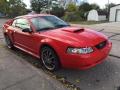 2001 Mustang GT Coupe #9