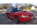 2001 Mustang GT Coupe #10