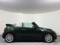 2017 Convertible Cooper S #9