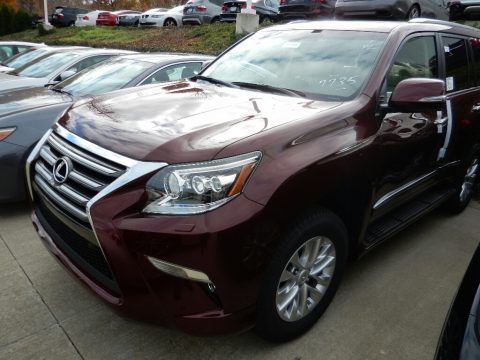 Starfire Pearl Lexus GX 460.  Click to enlarge.