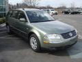 2002 Passat GLS Wagon #5