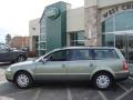 2002 Passat GLS Wagon #10