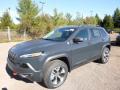 2017 Cherokee Trailhawk 4x4 #1