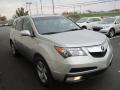 2010 MDX  #8