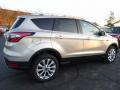 2017 Escape Titanium 4WD #2