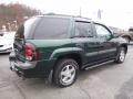 2004 TrailBlazer LS 4x4 #2