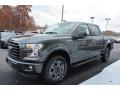 2017 Ford F150 Magnetic #3