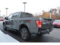  2017 Ford F150 Magnetic #26