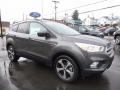 2017 Escape SE 4WD #3 2017 Escape SE 4WD #3
