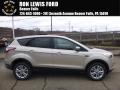 2017 Escape SE 4WD #1 2017 Escape SE 4WD #1