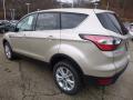 2017 Escape SE 4WD #4 2017 Escape SE 4WD #4