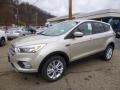 2017 Escape SE 4WD #6 2017 Escape SE 4WD #6