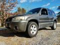2007 Escape XLT V6 4WD #1 2007 Escape XLT V6 4WD #1