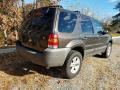 2007 Escape XLT V6 4WD #7 2007 Escape XLT V6 4WD #7