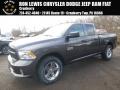 2017 1500 Express Quad Cab 4x4 #1