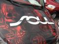 2010 Soul Sport #10