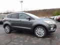  2017 Ford Escape Magnetic #1