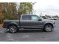  2017 Ford F150 Magnetic #4