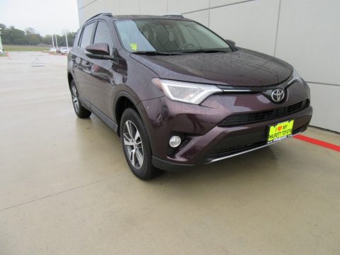 Black Current Metallic Toyota RAV4 XLE.  Click to enlarge.