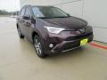 2017 RAV4 XLE #2