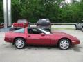 1989 Corvette Coupe #6