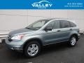 2010 CR-V EX AWD #1