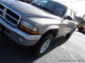 2004 Dakota SLT Quad Cab 4x4 #29 2004 Dakota SLT Quad Cab 4x4 #29