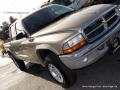 2004 Dakota SLT Quad Cab 4x4 #30 2004 Dakota SLT Quad Cab 4x4 #30