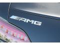  2016 Mercedes-Benz AMG GT S Logo #19