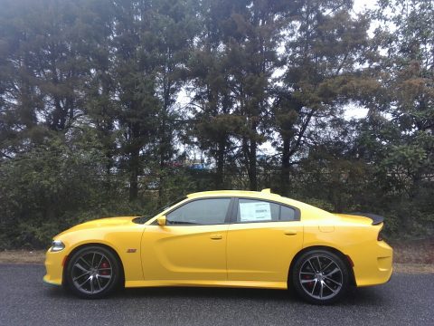 Yellow Jacket Dodge Charger R/T Scat Pack. Click to enlarge. Yellow Jacket Dodge Charger R/T Scat Pack. Click to enlarge.