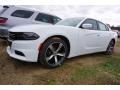 Front 3/4 View of 2017 Dodge Charger SE #1