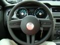 2010 Mustang V6 Coupe #17