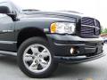 2005 Ram 1500 SLT Rumble Bee Regular Cab 4x4 #2