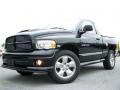 2005 Ram 1500 SLT Rumble Bee Regular Cab 4x4 #6