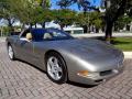 1999 Corvette Coupe #13